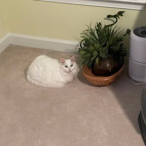 Meet your Posher, Brian